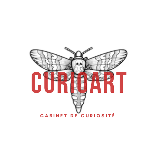 CurioArt logo