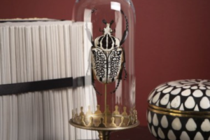 Goliath sous mini globe