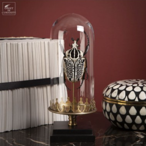 Goliath sous mini globe