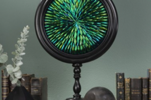 Elytres de Sternoceras dans reliquaire GM